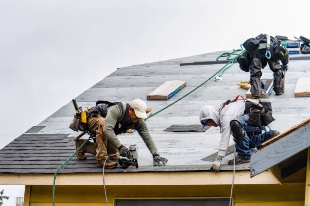 Professional Roof Repair technician working in Enosburg Falls, VT